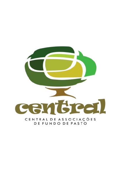 Logo CENTRAL